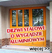 Drzwi stalowe o wygldzie aluminiowym